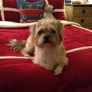 Meet your Posher, Deloris and Rudy